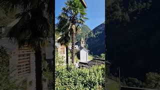 TICINO SWITZERLAND TRAVEL SHORTS YTSHORTS [upl. by Alrats]