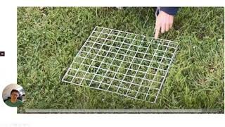 GCSE Biology Required Practical 9  Quadrats and plant distribution [upl. by Devona]