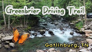 The Greenbrier Driving Trail  Smoky Mountains  Gatlinburg TN [upl. by Eibocaj]