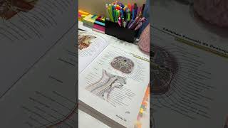 QUAL ATLAS DE ANATOMIA EU UTILIZO 🫀👩🏼‍⚕️ anatomy cantinhodeestudos enfermagem [upl. by Annabela]