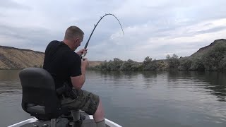 Angler from Fruitland lands the largest catfish in Idaho history [upl. by Penni729]