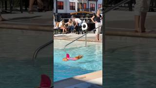 Pawsome pool party puppypoolparty pawsinthepool puppysummerfun poolpups [upl. by Ik]