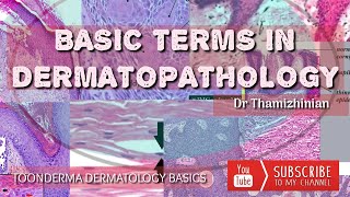 Educationalvideo DERMATOPATHOLOGY BASIC TERMSDR THAMIZHINIANDERMATOLOGYTOONDERMA [upl. by Machos]