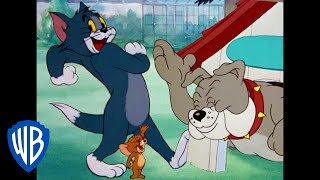 Tom y Jerry en Español  La noche divertida  WB Kids [upl. by Lleuqar]