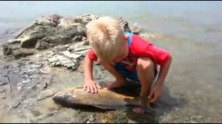 Boy crying over a dead fish [upl. by Missy688]