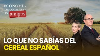 EPQSA Lo que no sabías del cereal español [upl. by Arne585]