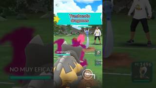 Bastiodon vs Dragonair pokemongopvp pvppokemon pokemon [upl. by Elehcar]