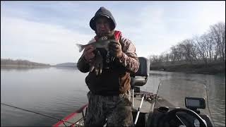 Sauger fishing on the Ohio River 1st fish of 2024 [upl. by Mccready]