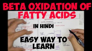 BetaOxidation of Fatty Acids in hindi  Lipid Metabolism  Biochemistry [upl. by Uyr]