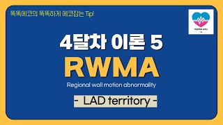 LAD territory echocardiography 심장초음파 heart echo view vLAD coronary artery RWMA territory [upl. by Maggs609]