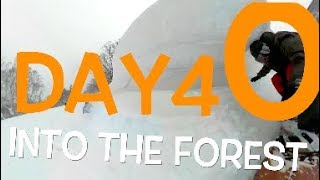 Neil Vlogs 20190205 Day 40 Into the forest [upl. by Monti]