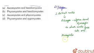 Dikaryon formation is characteristic of [upl. by Neeoma151]