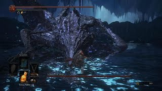 DARK SOULS III Midir sorta cheese [upl. by Negaem733]