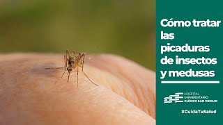 Cómo tratar las picaduras de insectos y medusas en verano  CuidaTuSalud [upl. by Garwood]