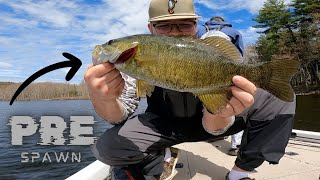 Catching aggressive prespawn bass Maine Bass Fishing [upl. by Adnaluy]