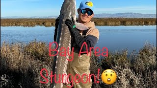 I had to wrestle with this sturgeon😁 Ep 78 fish delta striper boat bass kayak lure bait [upl. by Rori]