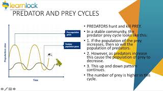 GCSE AQA Biology  B7 Ecology  Organisation of an ecosystem [upl. by Erich237]