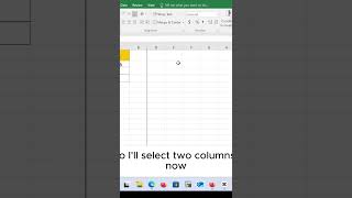 How to Hide and Unhide Rows amp Columns in Excel [upl. by Kerril851]