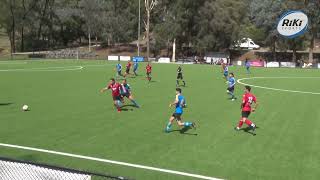 Goal Highlights from Eltham Redbacks vs Whittlesea Ranges FC HD 1080p [upl. by Madson]