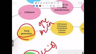 Pharmacology 3Cephalosporins summaryJUST 2024 [upl. by Gildus]