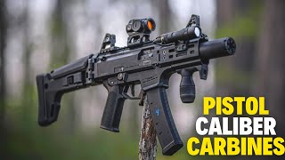 Top 10 pistol caliber carbines 2024 [upl. by Ettenad52]