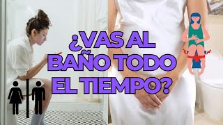 ¿Qué es la VEJIGA HIPERACTIVA y qué TRATAMIENTOS tiene  Fisioterapia Uroproctoginecológica [upl. by Ress660]