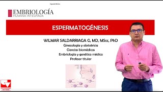 Espermatogénesis Capitulo 2 Embriologia Humana Integrada [upl. by Thgiwd577]