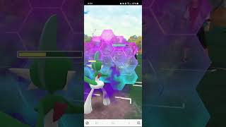 CLOSE COMBAT beastmode pokemon pokemongo retrocup gallade oneshot shadowpokemon gbl [upl. by Rehpotsirh]