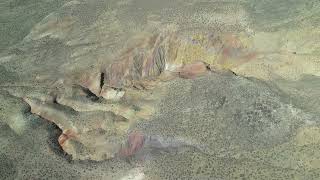 Undiscovered opalized petrified forest in Nevada [upl. by Novehs]