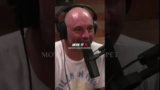 JOE ROGAN ON VIKING WAR CHANT [upl. by Nibbor]