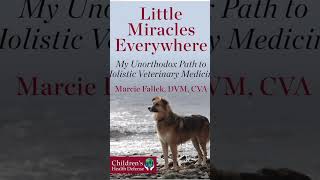 LITTLE MIRACLES EVERYWHERE MY UNORTHODOX PATH TO HOLISTIC VETERINARY MEDICINE BY M Fallek [upl. by Adnelg765]