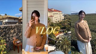 임신vlog 32주차 제주 태교 여행ㅣ비행기 탈때 주의 사항ㅣ임신 후기ㅣ신라호텔ㅣ에어비엔비 숙소 추천ㅣ노티드 제주ㅣ오설록 티 뮤지엄ㅣ딱새우 맛집ㅣ보말죽ㅣ흑돼지 맛집 [upl. by Reibaj]