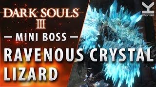 Dark Souls III  Mini Boss  Ravenous Crystal Lizard  Farron Keep [upl. by Ybbob]