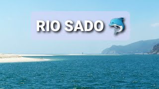 Rio Sado 💙🐬 Porto de Setúbal [upl. by Haceber]