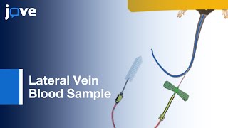 Sampling Blood from the Lateral Tail Vein of the Rat [upl. by Edaj511]