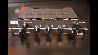 Synergy Friedman DS Module Quick Listen Demo Video by Shawn Tubbs [upl. by Bum]