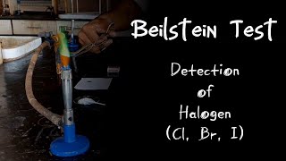 Beilstein Test  Detection of Halogens🕶DDD [upl. by Winter]