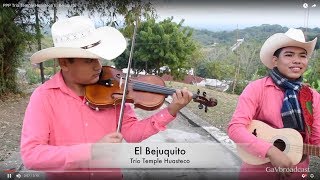 El Trío Temple Huasteco toca el Huapango quotEl Bejuquitoquot [upl. by Ernaldus]