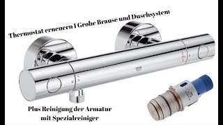 Thermostat an Grohe Duscharmatur erneuern  Jeder kann das UndSchnell und sauber Kalk entfernen [upl. by Yeh619]