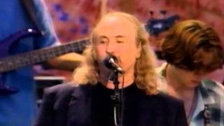 Crosby Stills amp Nash  Street To Lean On  8131994  Woodstock 94 Official [upl. by Ethelbert898]