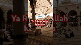 Ya Rasool Allah Marhaba [upl. by Renner213]