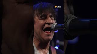 The Chameleons perform quotWhere Are Youquot Live on KEXP Full performance out now [upl. by Esile]