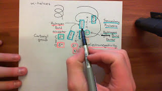 The Epidermis Part 2 [upl. by Mae]