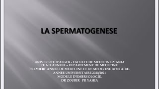 ✅Embryologie2 Spermatogenèse بالدارجة و بطريقة بسيطة و سهلة اجي تفهم و تحفظ🤓 [upl. by Eniamrahs]