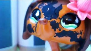 Littlest Pet Shop Popular Episode 5 Calories and Competition [upl. by Amliw514]