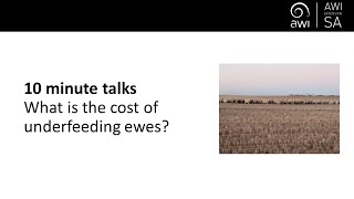 10 minute talks  What is the cost of underfeeding ewes [upl. by Nicolis]