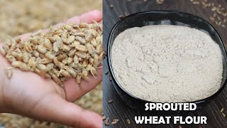 HOW TO MAKE SPROUTED WHEAT FLOUR HOMEMADE SPROUTED WHEAT FLOUR  Sowjis Kitchen [upl. by Neeluqcaj]