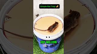 How this simple rat trap got 100 million views 🐀🪣 [upl. by Heath]