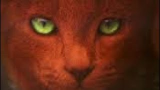 Warrior Cats in die Wildnis Prolog vorlesen [upl. by Nodlew]