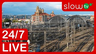 🔴 4K LIVE Trainspotting on Prague Main Station  247 LIVE [upl. by Rehpotsirc]